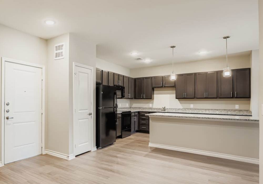 Modern kitchen with dark cabinetry and open layout at Standard at Royal Lane in Dallas, Texas