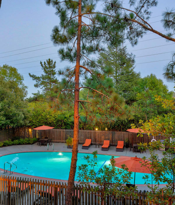 Pool area at Madera Valley in Corte Madera, California