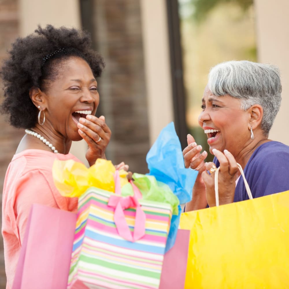 Shopping in Warren, Ohio near North Creek Preserve