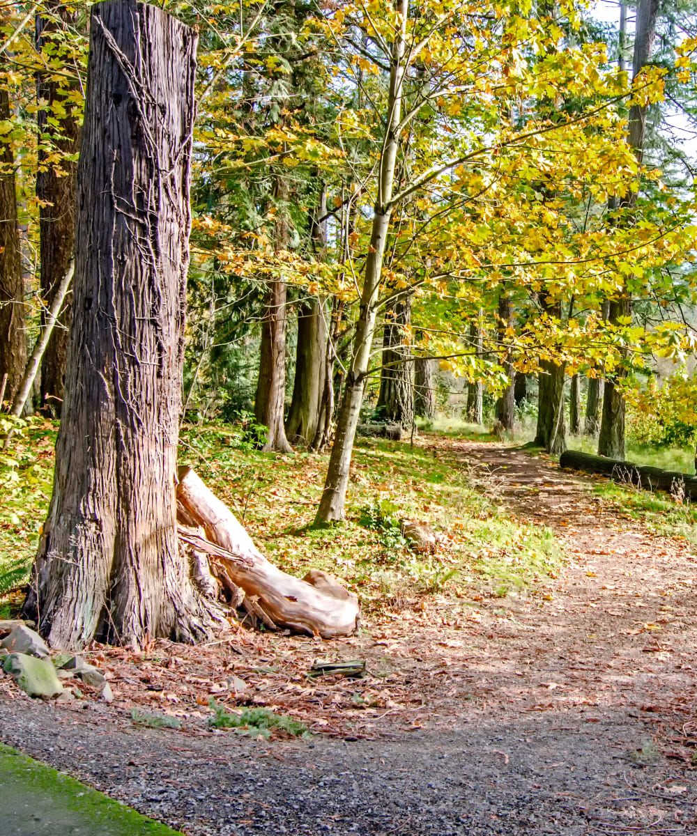 Wooded trail entrance at Sofi at Cedar Mill in Portland, Oregon