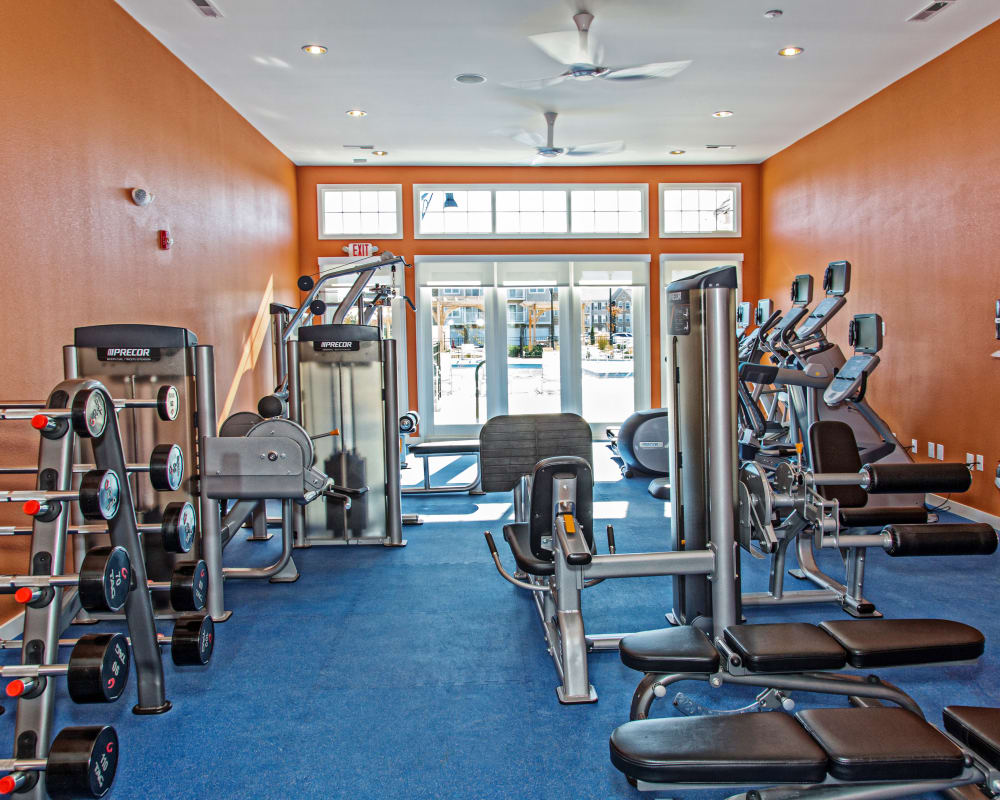 Fitness center at Arbor Brook in Murfreesboro, Tennessee