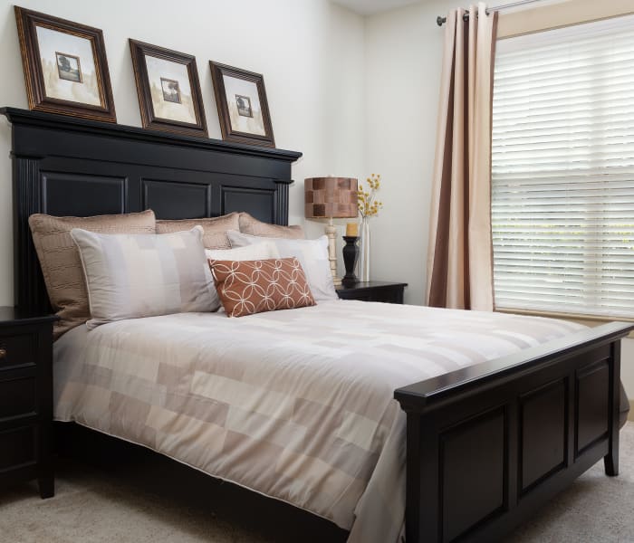 Upscale Townhomes for Rent