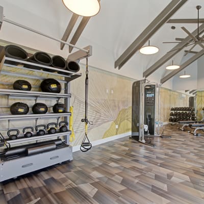 Large fitness center with various weight and cardio equipment at Sofi Ventura in Ventura, California