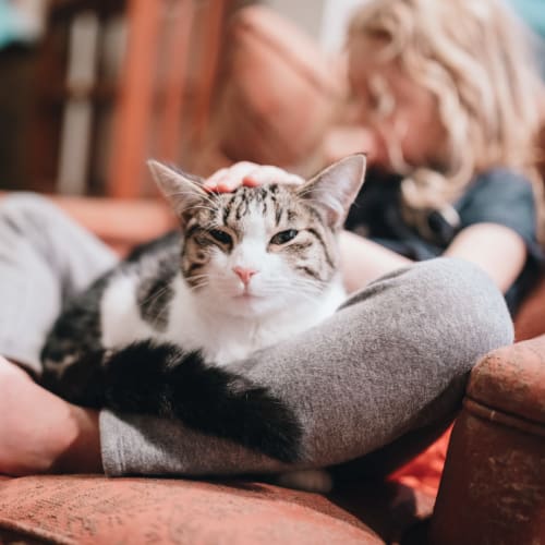 a young girl sitting with her cat at Wadsworth Shores in Virginia Beach, Virginia