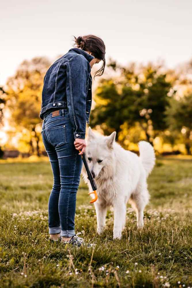 Dog park near Icon Apartments in San Antonio,Texas