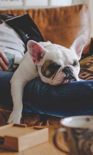 Exterior and courtyard with pergola and benches at Crystal Ridge in Midlothian, Texas