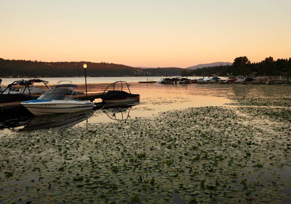 Boats resting at The Docks at Redmond Lakeview in Redmond, Washington