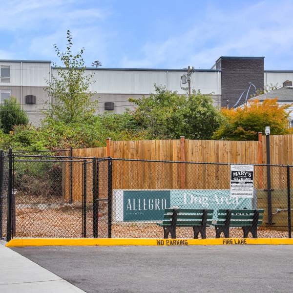 Dog area at Allegro in Lynnwood, Washington