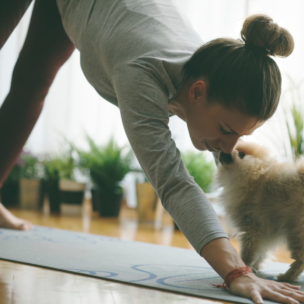 Resident practicing yoga with dog at 11 Cooper in Camden, New Jersey