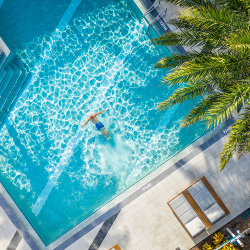 Aerial view of the pool at Motif in Fort Lauderdale, Florida