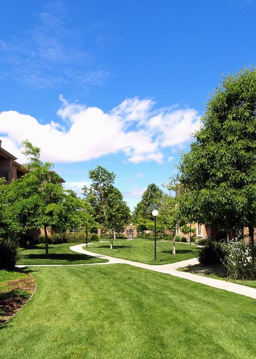 Large grassy lawn for playing fetch with your furbaby at Cross Pointe Apartment Homes in Antioch, California