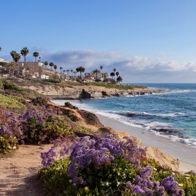 The ocean near Sofi Ocean Hills in Oceanside, California