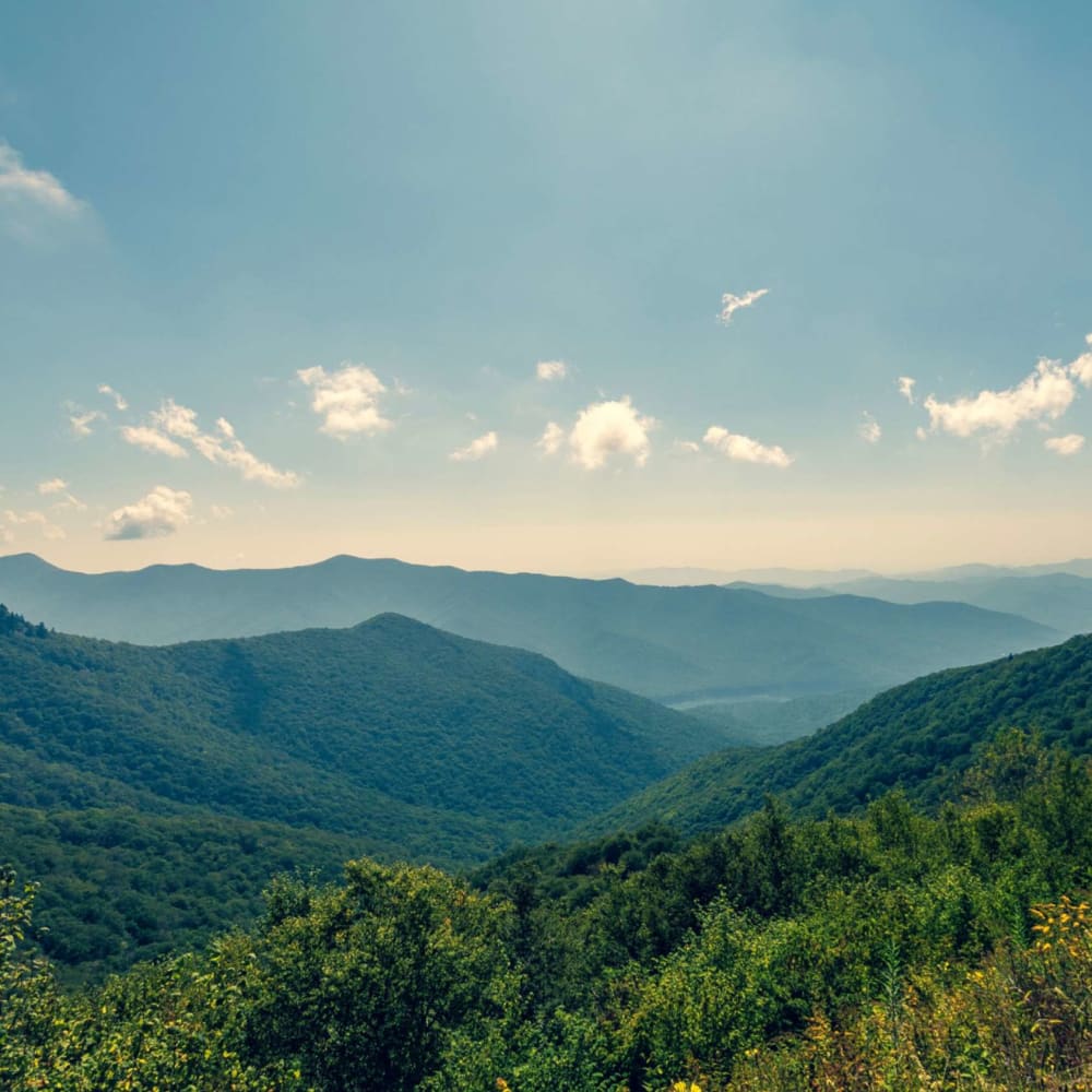 Rolling Mountain views near Mountain Creek in Waynesville, North Carolina