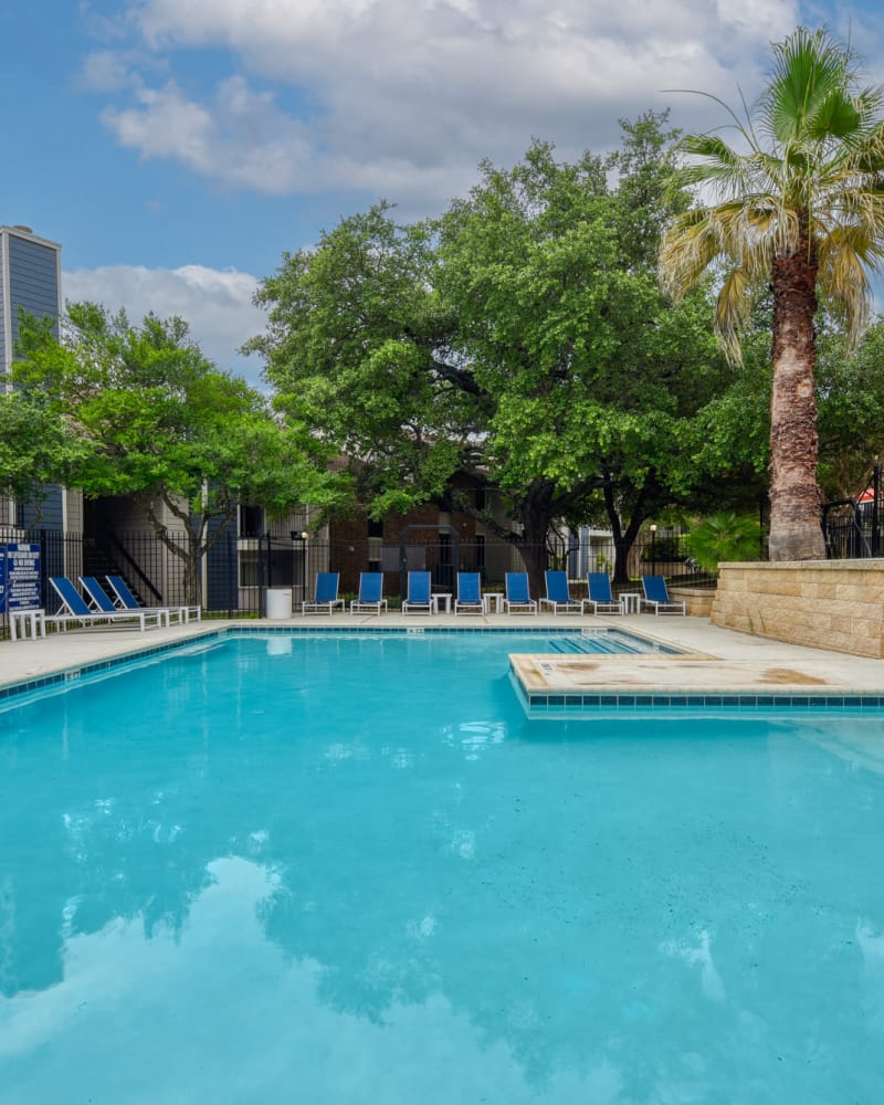 Lounge chairs and a palm tree by the pool at Villas de Santa Fe in San Antonio, Texas