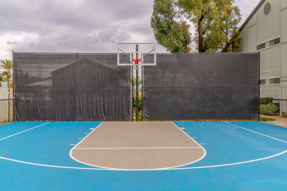 Basketball court at Parkview Terrace Apartments in Redlands, California