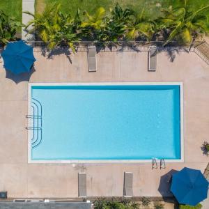 Aerial shot of the swimming pool at The Willows in Escondido, California