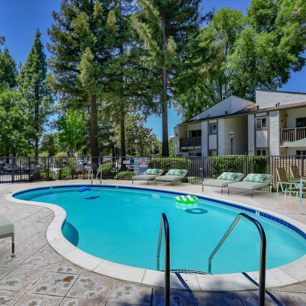 Large swimming pool with lounge chairs at Santa Teresa Apartments in San Jose, California