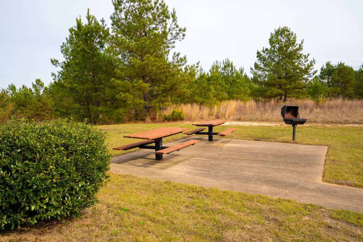 Barbecue Area at Jacksonville Pines in Jacksonville, Texas