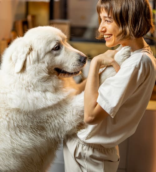 Resident with her pet at Silo Creek Apartments in Lafayette, Louisiana