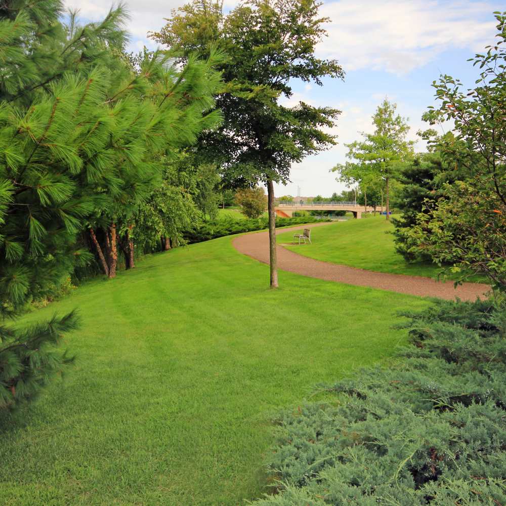 Lawn with full greenery at Sapphire Apartments in Ramsey, Minnesota