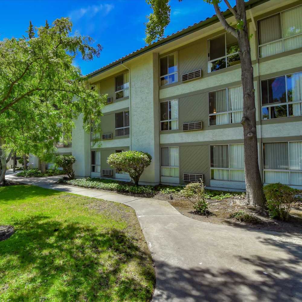 Beautifully landscaped courtyard and walkway at Civic Plaza in Santa Clara, California