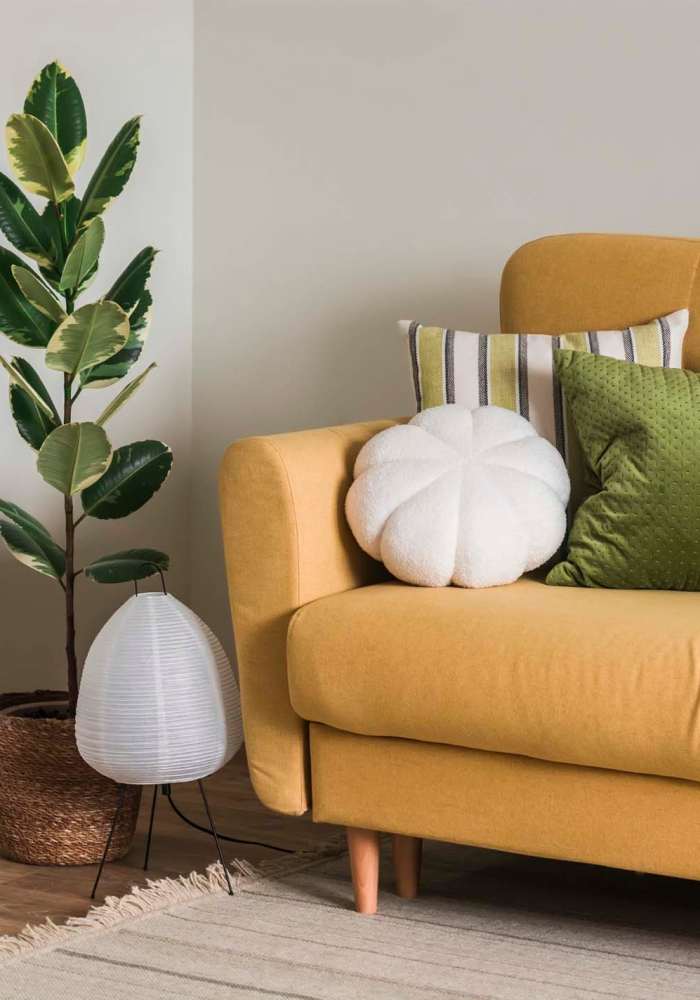 Well-lit living room with lively plants at Dunbar Apartments in Lexington, North Carolina