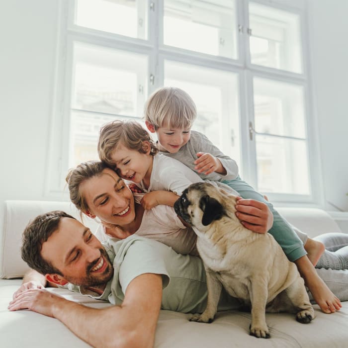 A family and a dog relaxing in a home at Hidden Lakes Apartment Homes in Miamisburg, Ohio