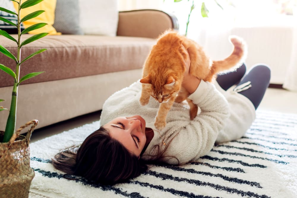 Resident with her cat loving their new life at Valle Vista in Greenwood, Indiana