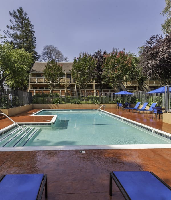Swimming Pool with lounge chairs and umbrellas at The Timbers Apartments in Hayward