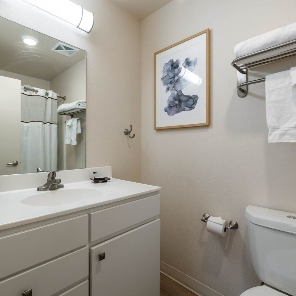 Bathroom with vanity and commode at WaterWalk Wichita - Downtown in Wichita, Kansas