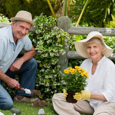 Senior couple gardening at Stonecrest of Anderson Township in Cincinnati, Ohio