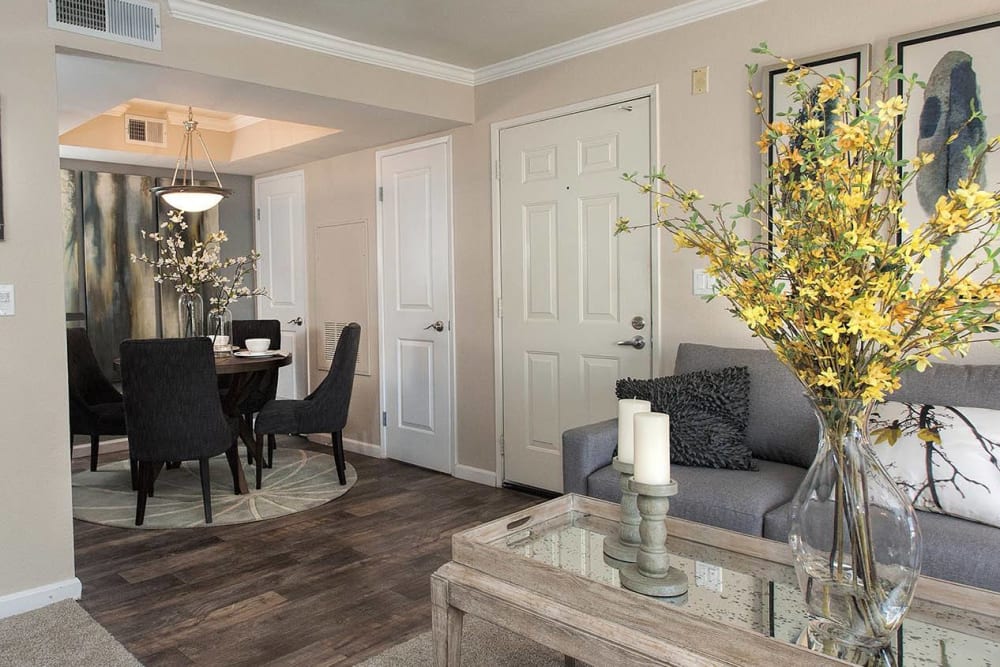 Amenities at Mill Springs Park Apartment Homes