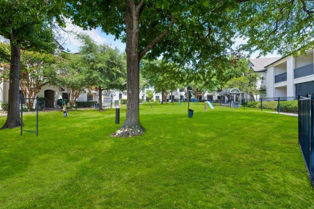 Lawn area at Reeves and Wells in Dallas, Texas