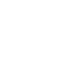 Summerfield at Morgan Metro