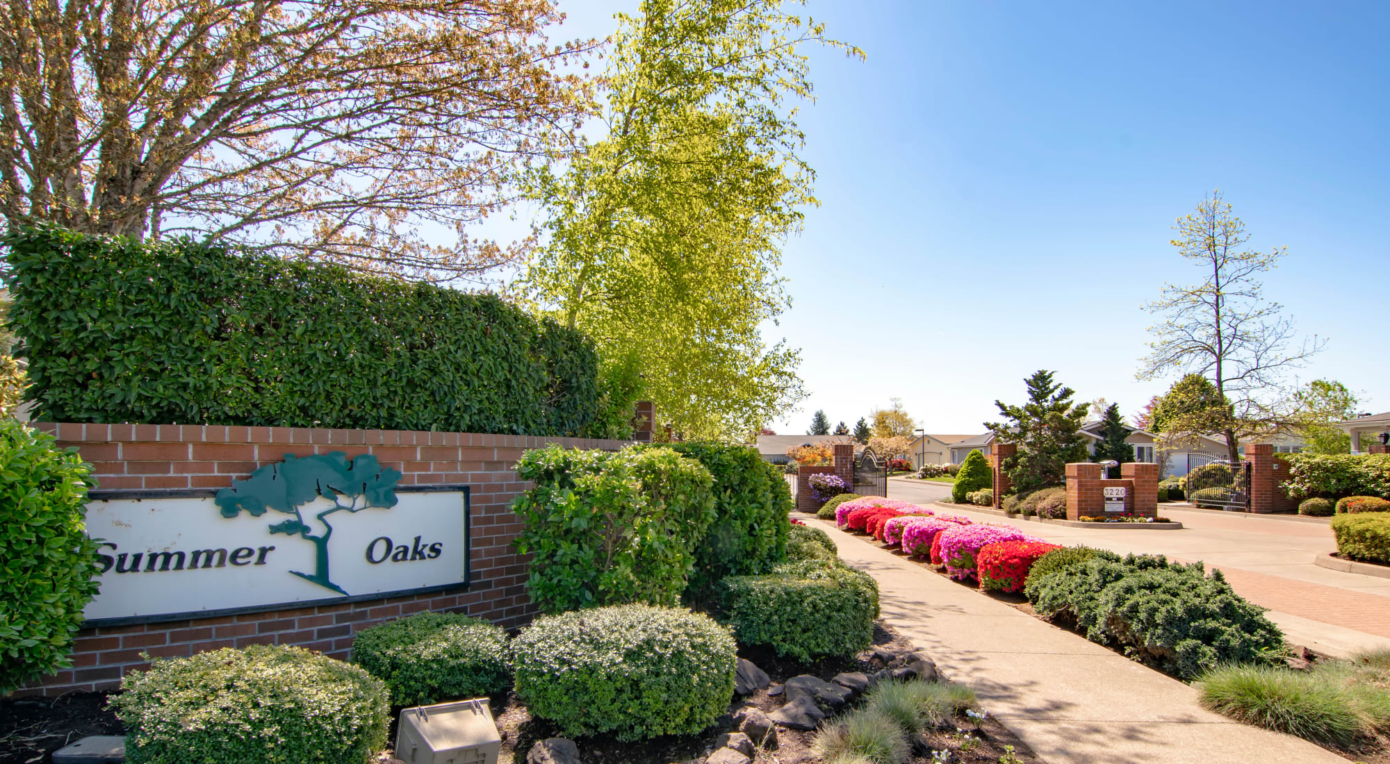 Mobile homes at Summer Oaks Park in Eugene, Oregon