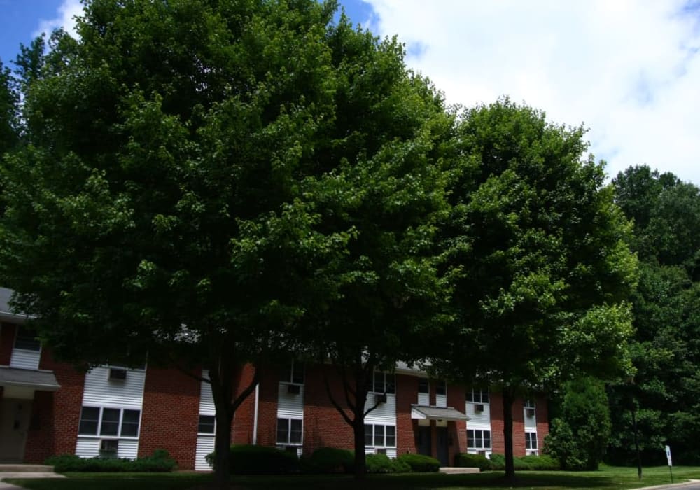 Greenery at Pointe Breeze Apartments in Bordentown, New Jersey