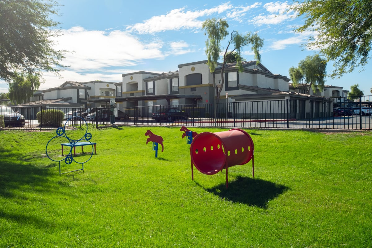 Dog park at Tamarron, Phoenix, Arizona