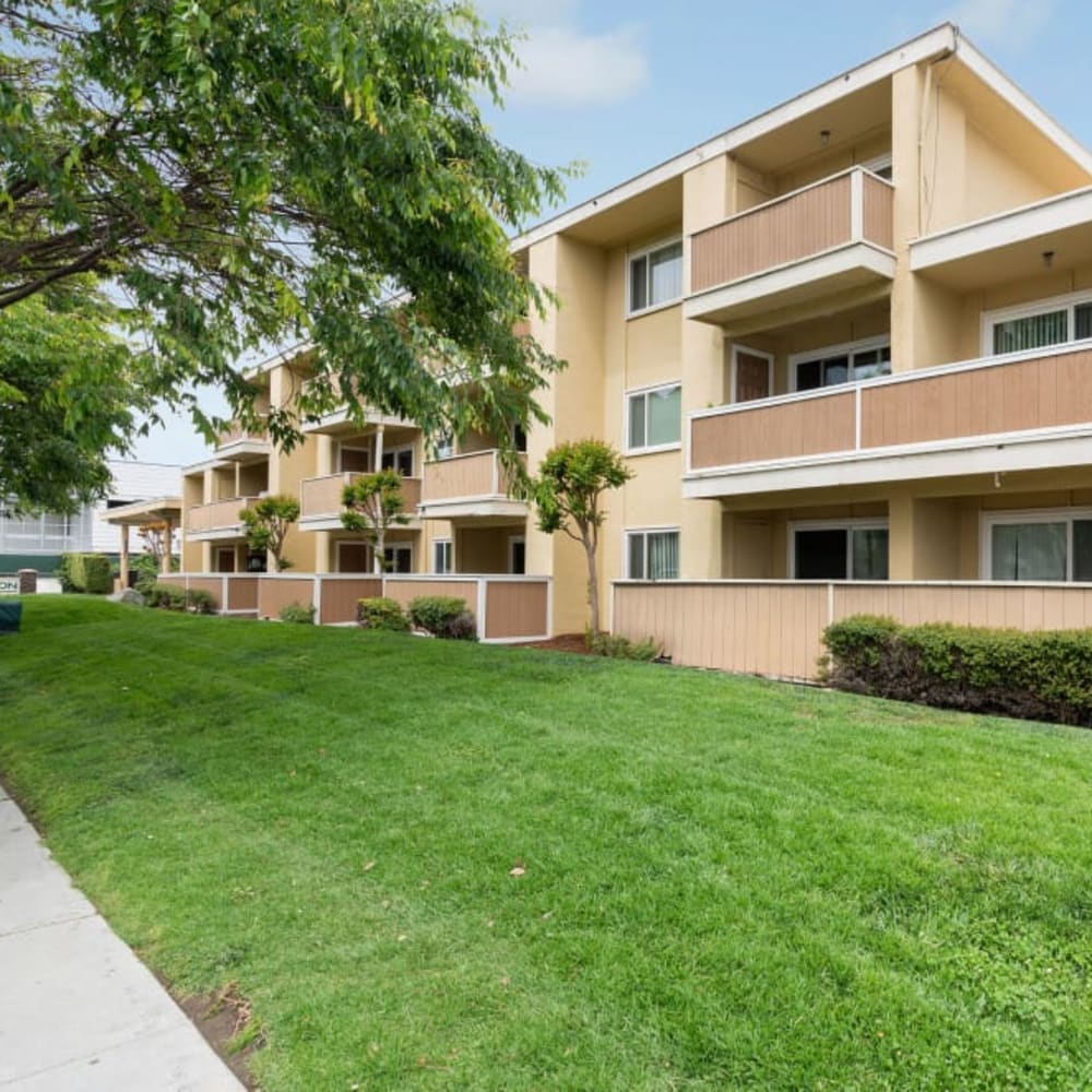 Building exterior and lush lawn with mature trees at Pentagon Apartments in Fremont, California