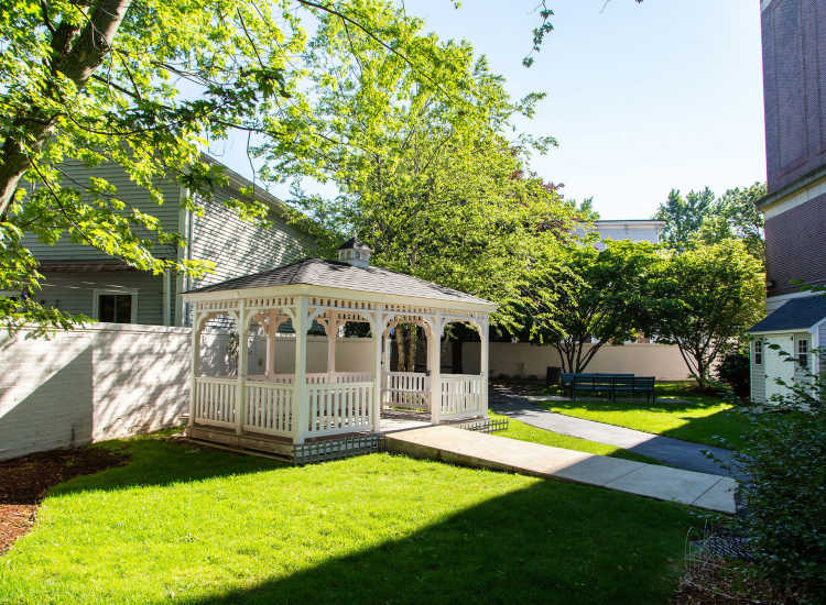 Greenery at John Boyle O'Reilly Apartments in South Boston,Massachusetts