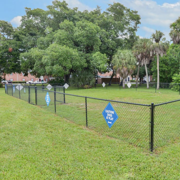 Dog park at Reserve at Lake Pointe Apartments & Townhomes in St Petersburg, Florida