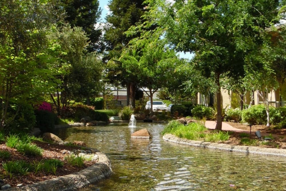 Lovely pond at Winding Commons Senior Living in Carmichael, California