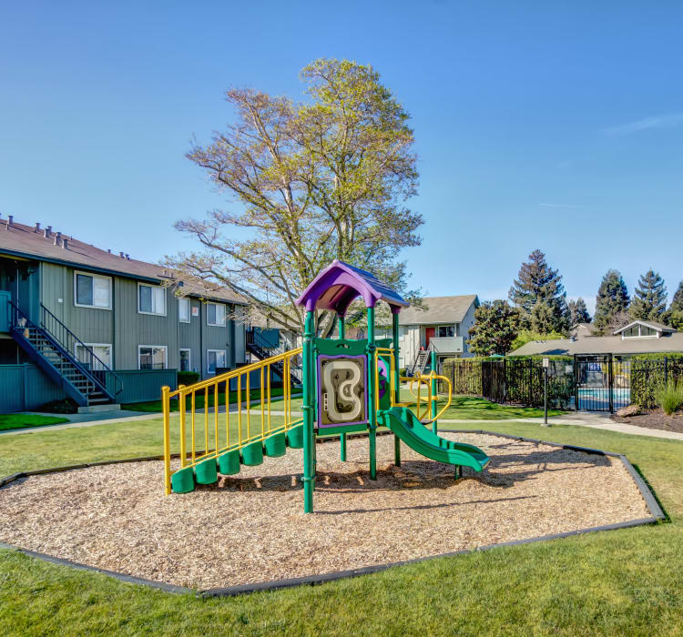 Onsite children's playground on a gorgeous day at Vue Fremont in Fremont, California