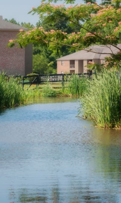 Lake on the property at Brittwood Apartments in Columbus, Georgia