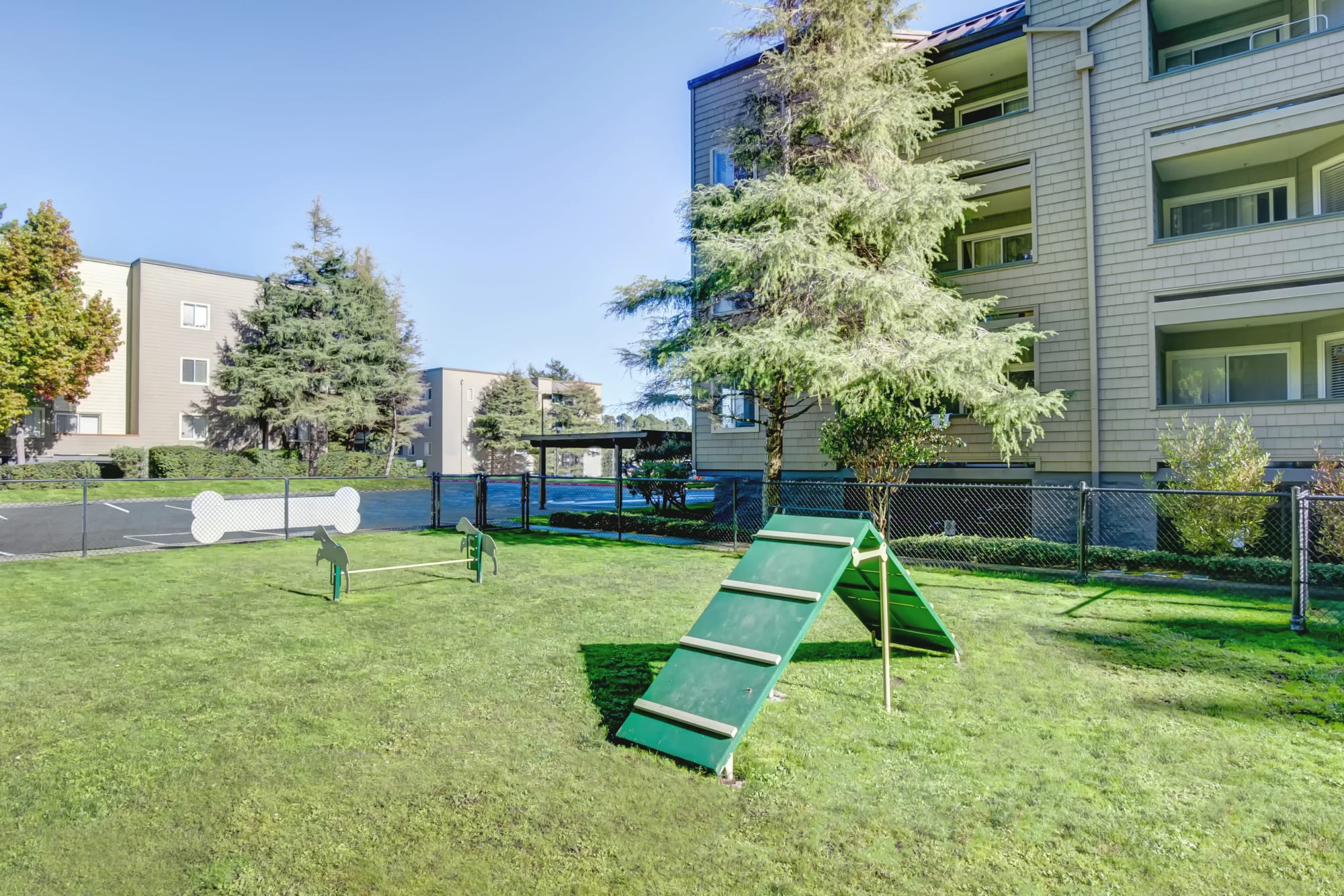The dog park, one of Serramonte Ridge Apartment Homes's numerous community amenities.