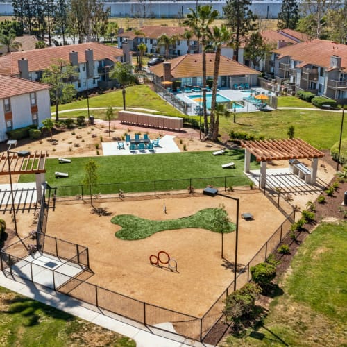 Aerial view of the dog park, firepit, and swimming pool at Ardella on Chagall in Moreno Valley, California