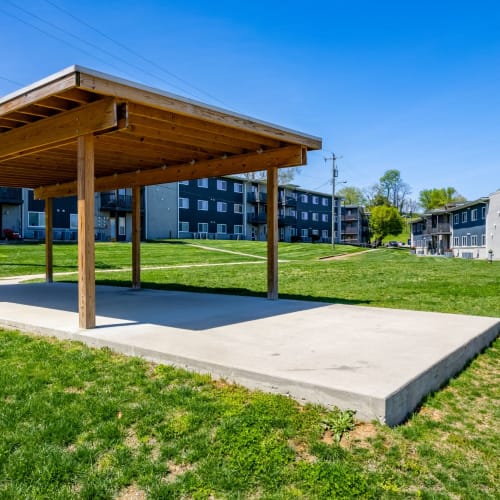 Rendering of picnic are at Gibson Creek Apartments in Madison, Tennessee