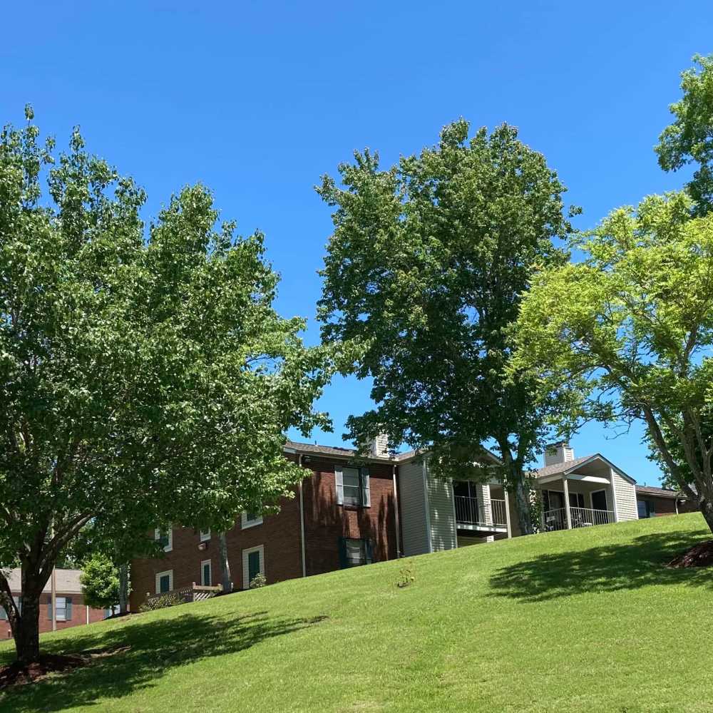 at Cannongate Apartments in Vicksburg, Mississippi