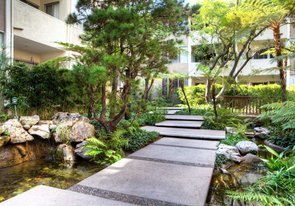 Koi pond at Sunset Barrington Gardens in Los Angeles, California