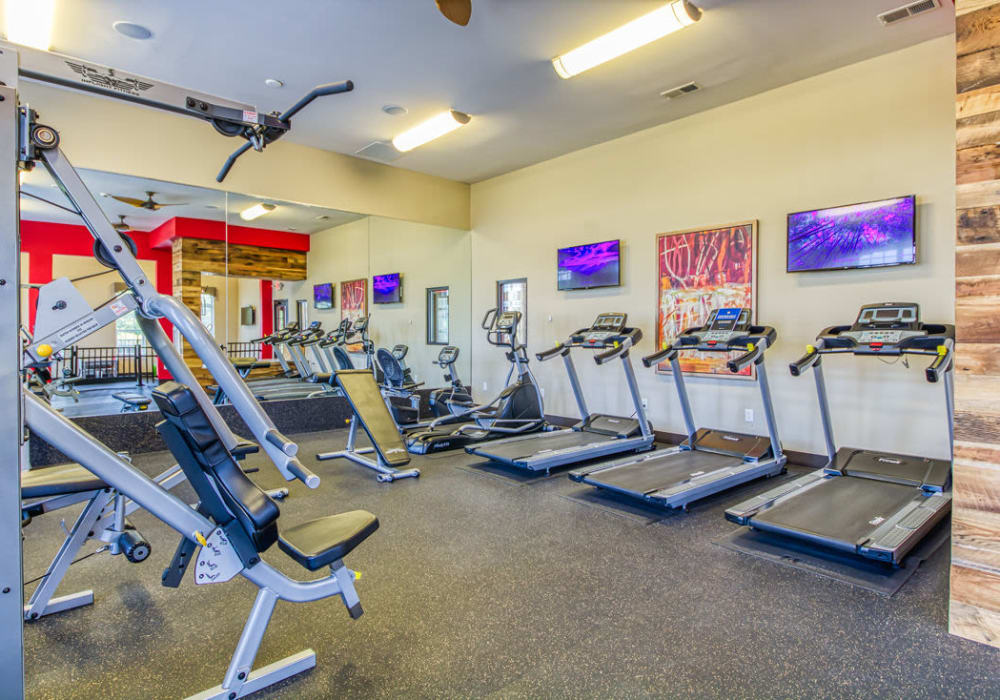 Gym with treadmills and TV, along with machines for weight-lifting at Everwood at The Avenue in Murfreesboro, Tennessee
