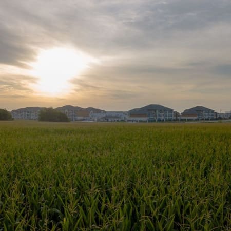View of Biltmore at the Park in Pflugerville, Texas from a distance